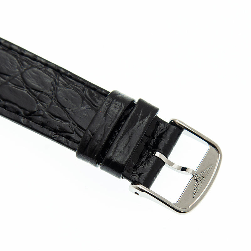 L48214112 band close up