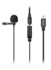 點Buy BOYA 博雅 BY-M2 BY-M2D Clip-on Lavalier Microphone for iOS devices iPhone iPad lightning port vlogs presentations recording interview recording audio shooting video overview 電話收音mic 雙頭收音咪 電話外置咪 外置麥克風 蘋果電話收音