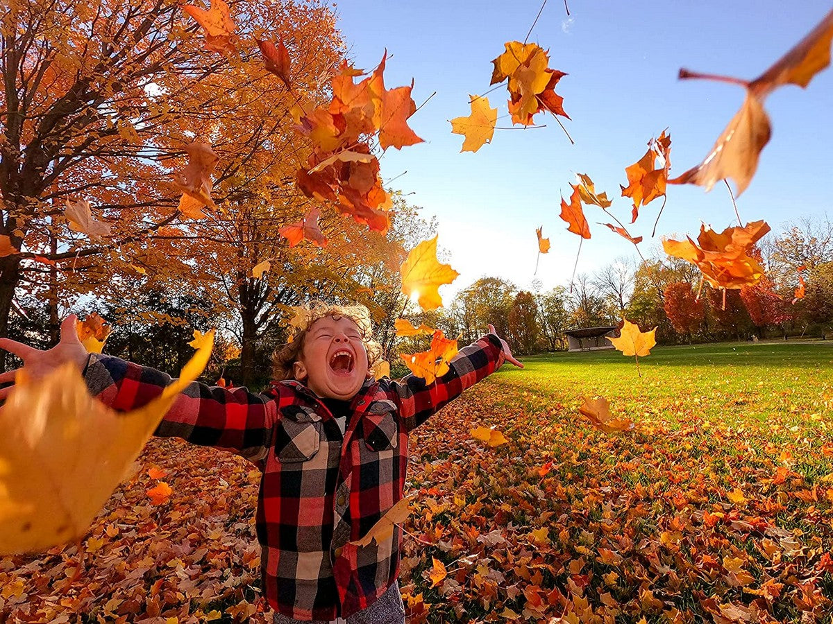 GoPro HERO10 Black - Waterproof Action Camera with Front LCD and Touch Rear Screens｜5.3K 60 Ultra HD Video｜23MP Photos｜1080p Live Streaming - spring