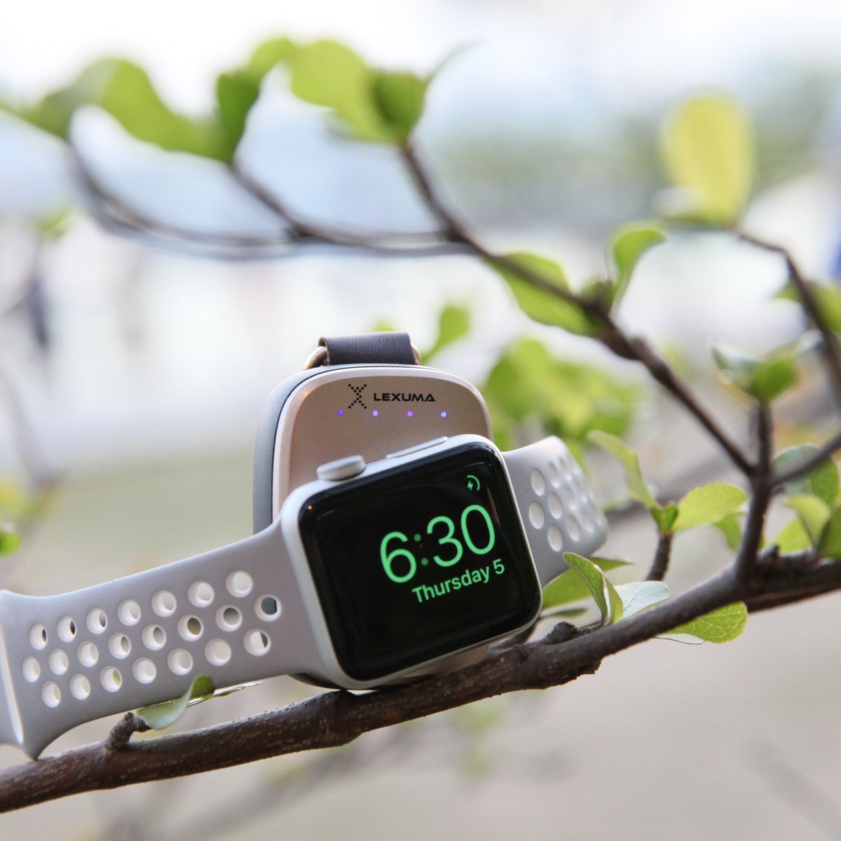 Lexuma XTAG Apple Watch Portable Charger Wireless Charging Travel Charger 辣數碼  ligestyle tree