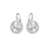 SWAROVSKI Except Pierced Earrings #5197635